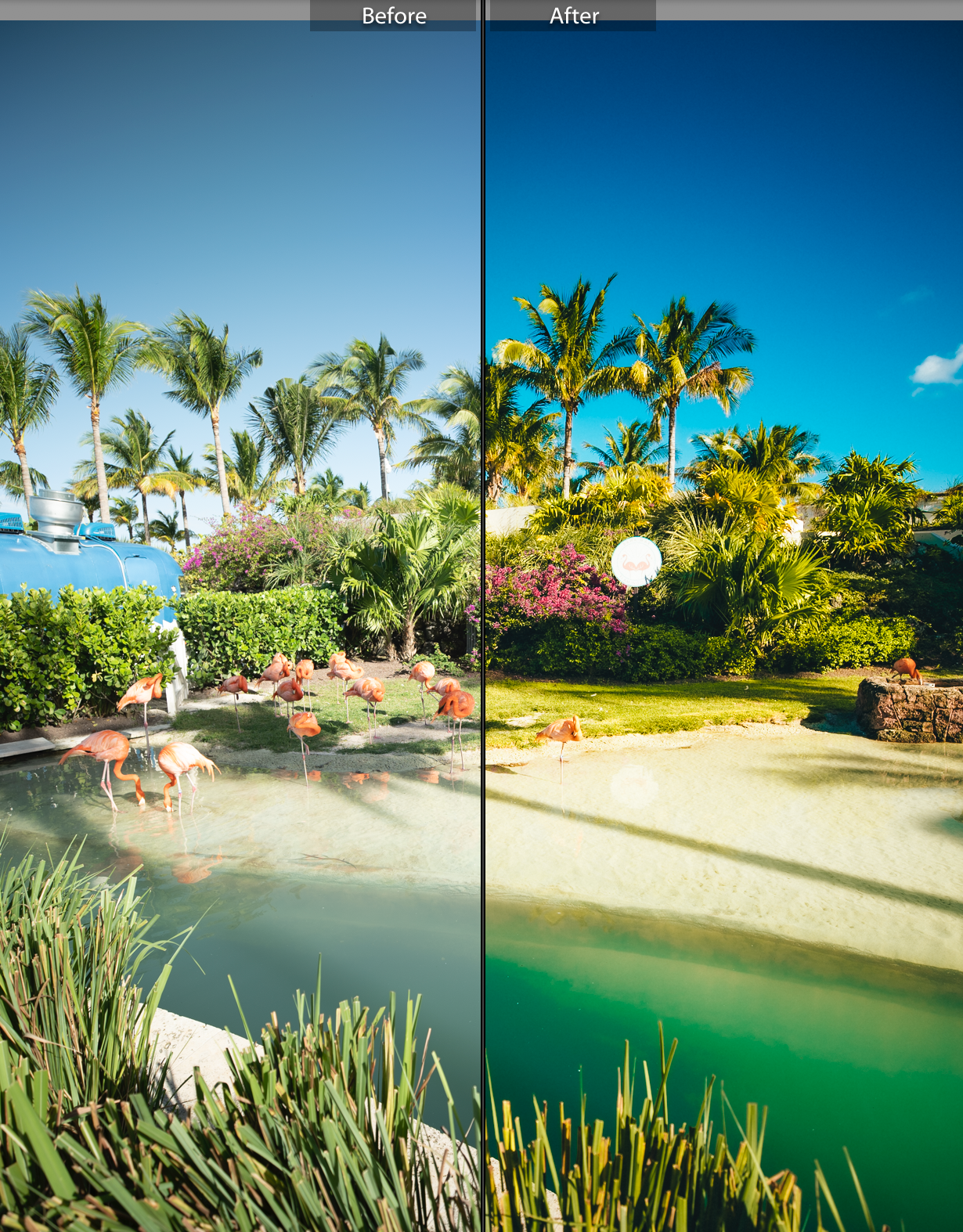 Victoria’s Presets: Tropics Collection (Desktop)