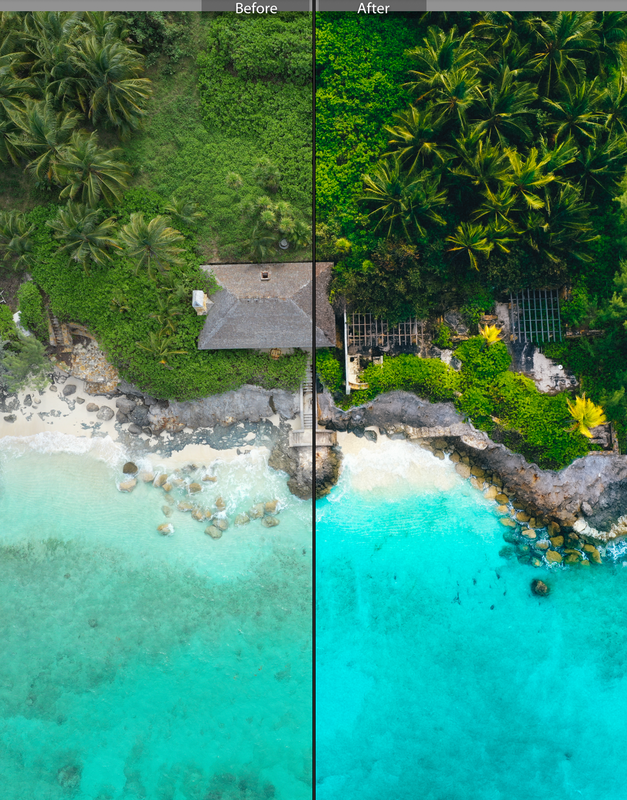 Victoria’s Presets: Tropics Collection (Desktop)